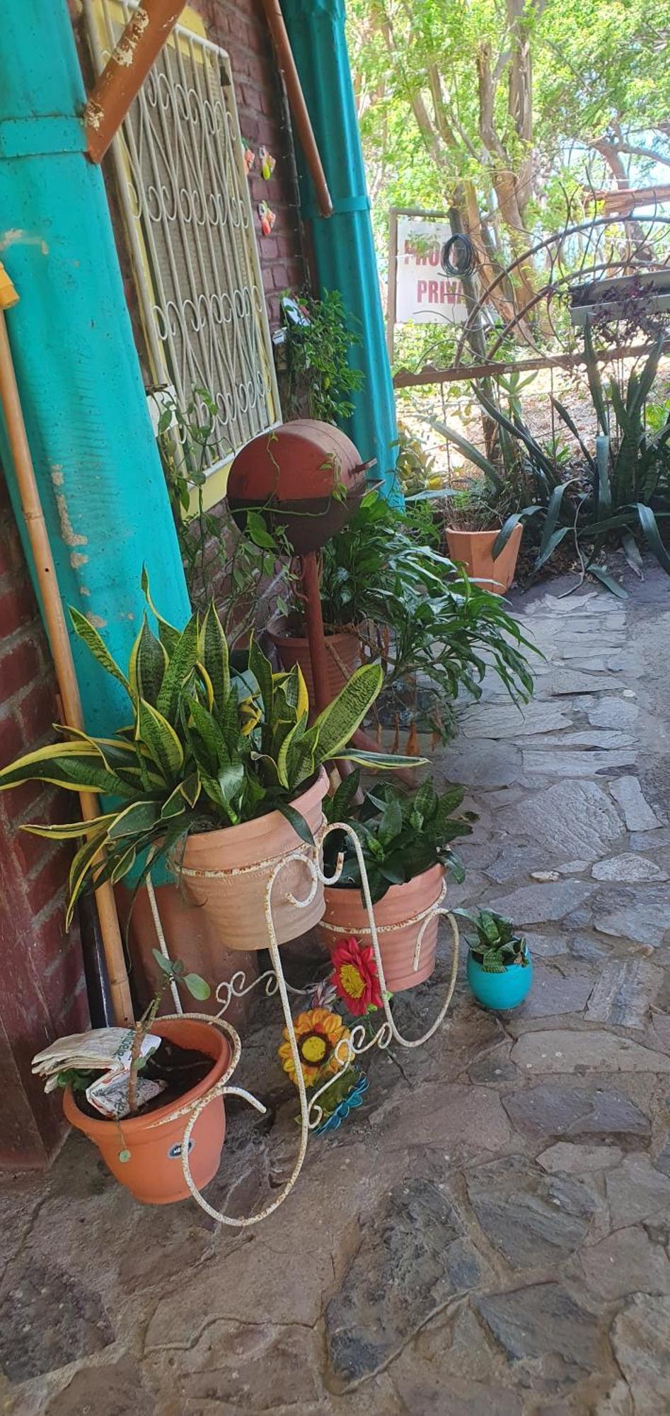 Beach Cabin Ometepe Altagracia 部屋 写真
